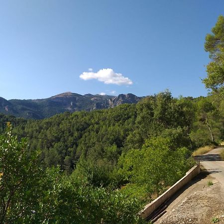 Casas Rurales La Tobica Yeste Exteriör bild